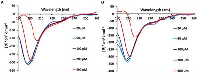 Concentration and time-dependent amyloidogenic characteristics of intrinsically disordered N-terminal region of Saccharomyces cerevisiae Stm1